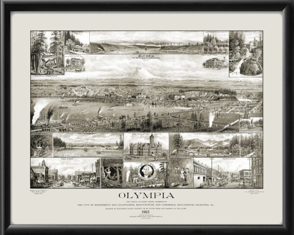 Olympia WA 1903 Edward Lange tm Birds Eye View Map