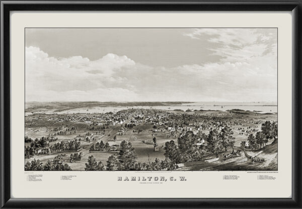Hamilton Ont 1859 G.S.Rice Tm Bird's Eye View Map