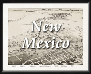 New Mexico