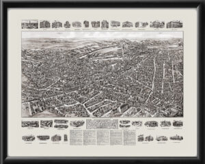 Waterbury CT 1917 TMFlowerTM