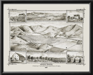 Novato CA 1880 C.J. Dyer TM Birds Eye View Map