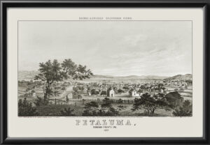 Petaluma CA 1857 TM Bird's Eye View Map
