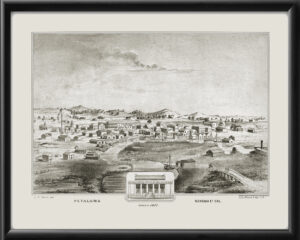 Petaluma CA 1855 L. W. Worth TM Bird's Eye View Map