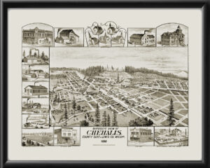 Chehalis WA 1890 ES Moore TM Birds Eye View Map