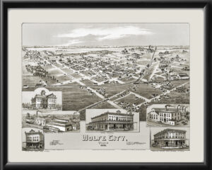 Wolfe City TX 1891 Fowler TM Birds Eye View Map