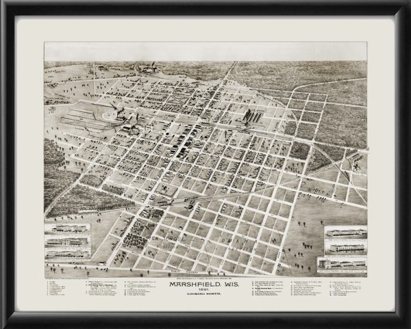 Marshfield WI 1889