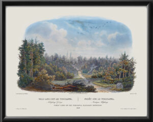 Tobyhanna PA Forest Scene Karl Bodner 1839 tm