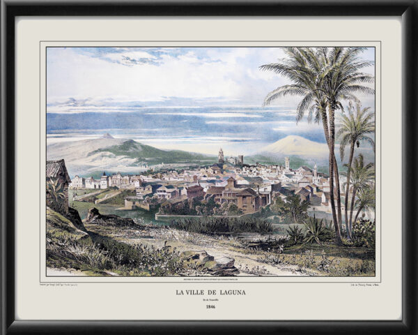 Villa de Laguna Teneriffe 1846 Jules Dumont d'Urville Tm Birdseye View Map