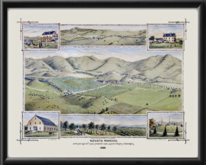 Novato CA 1880 C.J. Dyer Color TM Birds Eye View Map