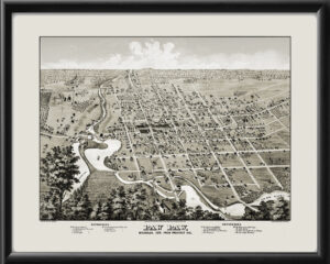 Paw Paw MI 1875 D.D. Morse Restored Birds Eye View Map