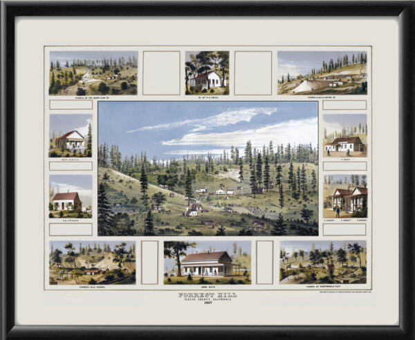 Forrest Hill CA 1857 #2