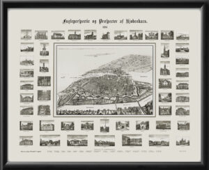Copenhagen and suburbs 1856