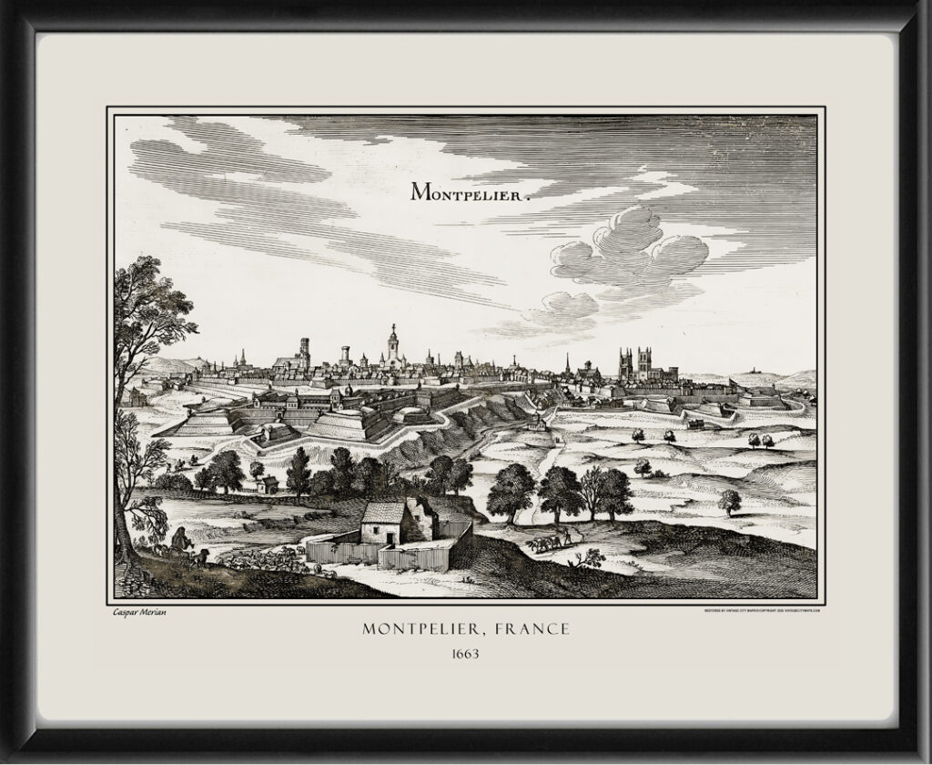 Montpelier, France 1663 - Restored Bird's Eye View | Vintage City Maps