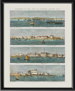 Zanzibar Panoramic view along the coast of Zanzibar city 1873
